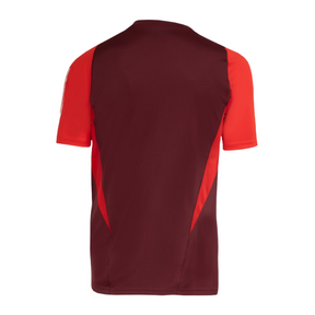 CAMISA-INTERNACIONAL-TREINO-2024