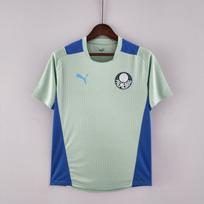 Camisa SE Palmeiras 2022/23 Training - ResPeita Sports